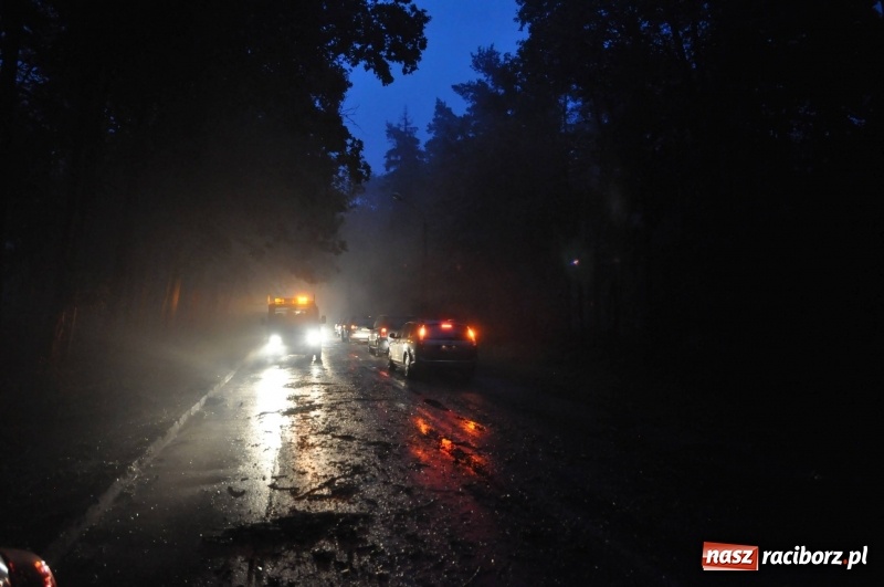 Zdjęcie w galerii na portalu naszraciborz.pl: Kuźnia Raciborska - miasto po Armagedonie wiadomości z regionu