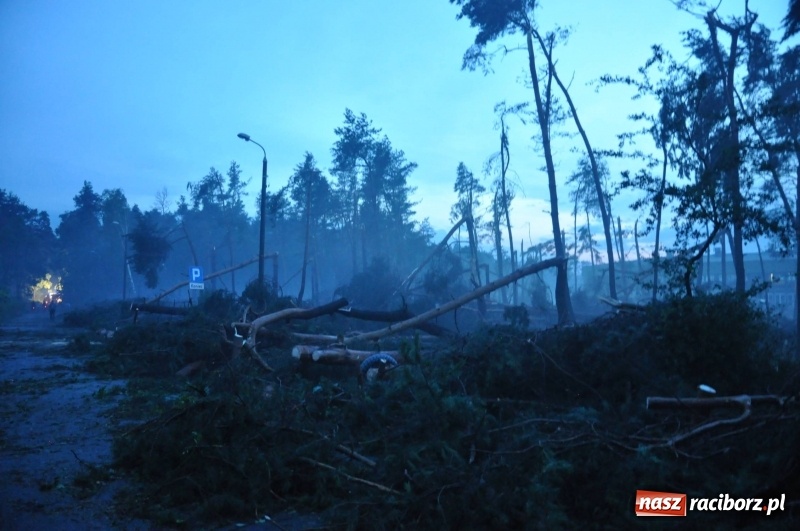 Zdjęcie w galerii na portalu naszraciborz.pl: Kuźnia Raciborska - miasto po Armagedonie wiadomości z regionu