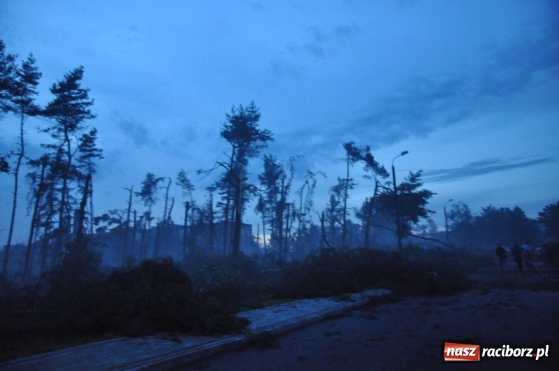 Zdjęcie w galerii na portalu naszraciborz.pl: Kuźnia Raciborska - miasto po Armagedonie wiadomości z regionu