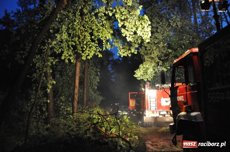 Zdjęcie w galerii na portalu naszraciborz.pl: Kuźnia Raciborska - miasto po Armagedonie wiadomości z regionu