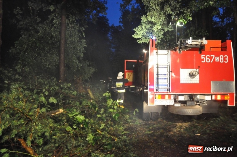 Zdjęcie w galerii na portalu naszraciborz.pl: Kuźnia Raciborska - miasto po Armagedonie wiadomości z regionu