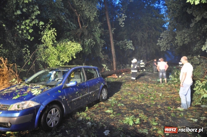 Zdjęcie w galerii na portalu naszraciborz.pl: Kuźnia Raciborska - miasto po Armagedonie wiadomości z regionu