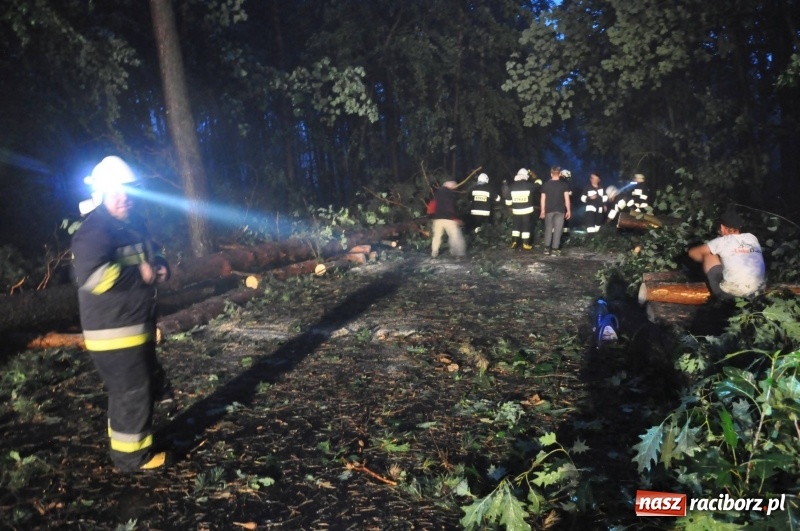 Zdjęcie w galerii na portalu naszraciborz.pl: Kuźnia Raciborska - miasto po Armagedonie wiadomości z regionu