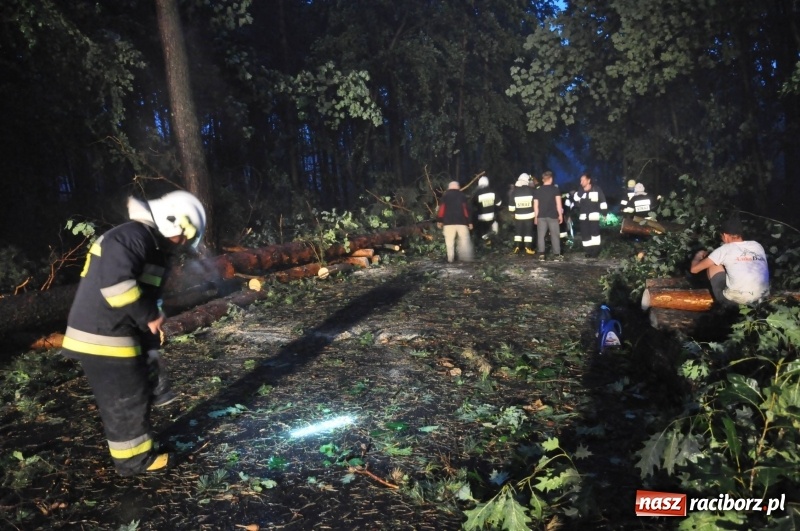 Zdjęcie w galerii na portalu naszraciborz.pl: Kuźnia Raciborska - miasto po Armagedonie wiadomości z regionu