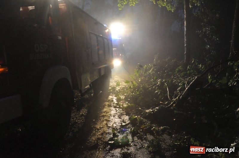 Zdjęcie w galerii na portalu naszraciborz.pl: Kuźnia Raciborska - miasto po Armagedonie wiadomości z regionu
