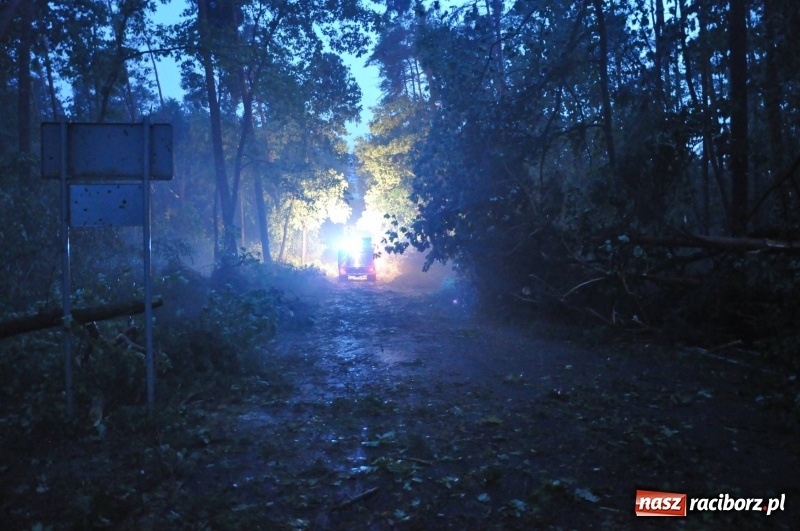 Zdjęcie w galerii na portalu naszraciborz.pl: Kuźnia Raciborska - miasto po Armagedonie wiadomości z regionu