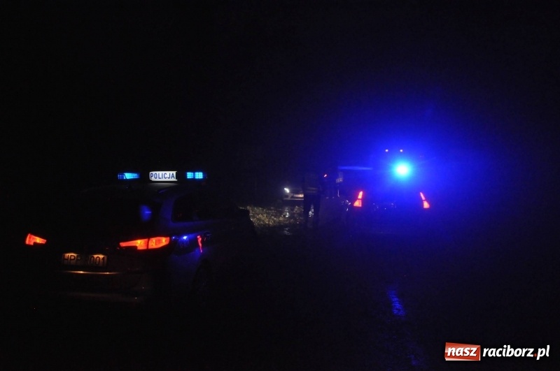 Zdjęcie w galerii na portalu naszraciborz.pl: Kuźnia Raciborska - miasto po Armagedonie wiadomości z regionu