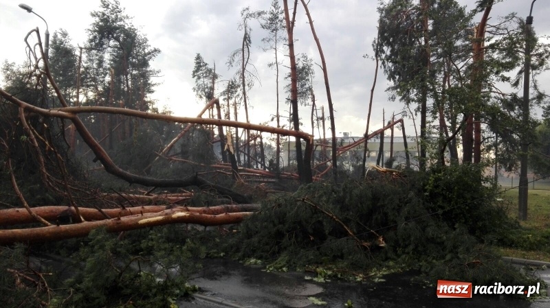 Zdjęcie w galerii na portalu naszraciborz.pl: Kuźnia Raciborska - miasto po Armagedonie wiadomości z regionu