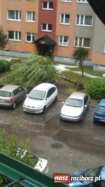 Zdjęcie w galerii na portalu naszraciborz.pl: Kuźnia Raciborska - miasto po Armagedonie wiadomości z regionu