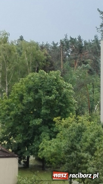 Zdjęcie w galerii na portalu naszraciborz.pl: Kuźnia Raciborska - miasto po Armagedonie wiadomości z regionu