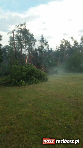 Zdjęcie w galerii na portalu naszraciborz.pl: Kuźnia Raciborska - miasto po Armagedonie wiadomości z regionu