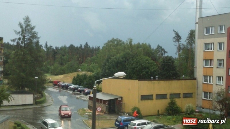 Zdjęcie w galerii na portalu naszraciborz.pl: Kuźnia Raciborska - miasto po Armagedonie wiadomości z regionu