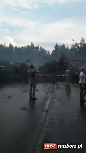 Zdjęcie w galerii na portalu naszraciborz.pl: Kuźnia Raciborska - miasto po Armagedonie wiadomości z regionu