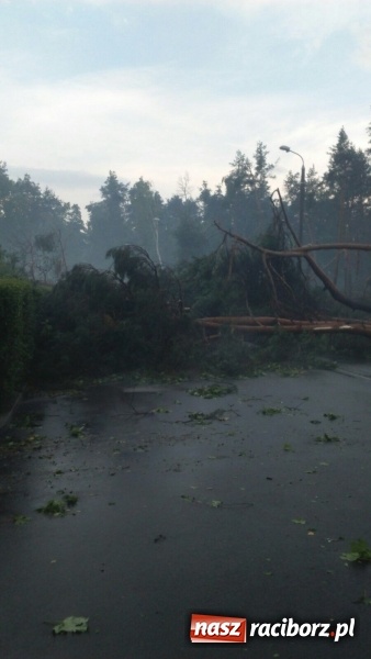 Zdjęcie w galerii na portalu naszraciborz.pl: Kuźnia Raciborska - miasto po Armagedonie wiadomości z regionu
