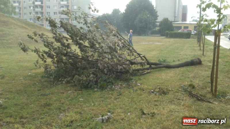 Zdjęcie w galerii na portalu naszraciborz.pl: Kuźnia Raciborska - miasto po Armagedonie wiadomości z regionu