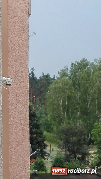 Zdjęcie w galerii na portalu naszraciborz.pl: Kuźnia Raciborska - miasto po Armagedonie wiadomości z regionu