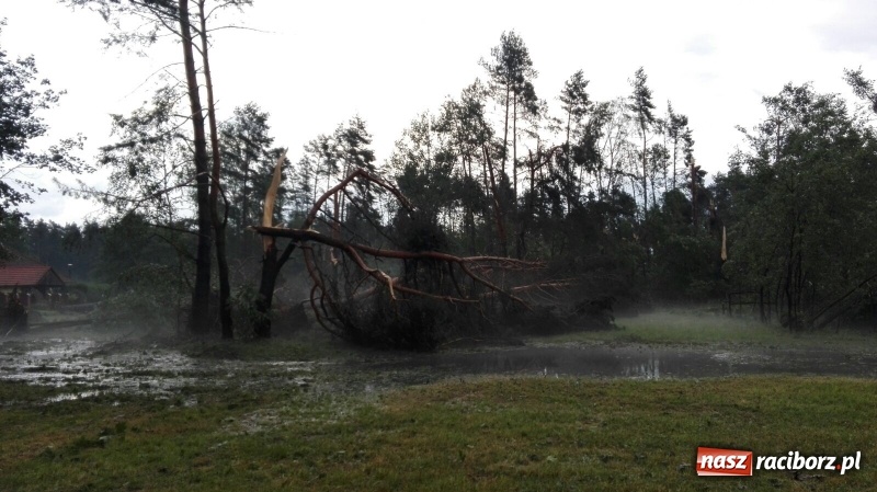 Zdjęcie w galerii na portalu naszraciborz.pl: Kuźnia Raciborska - miasto po Armagedonie wiadomości z regionu