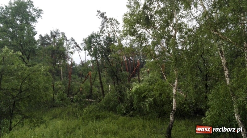 Zdjęcie w galerii na portalu naszraciborz.pl: Kuźnia Raciborska - miasto po Armagedonie wiadomości z regionu