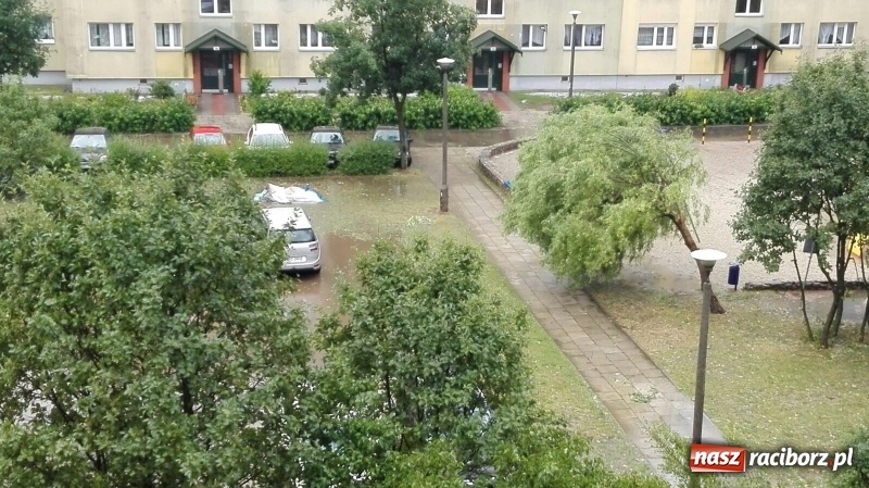 Zdjęcie w galerii na portalu naszraciborz.pl: Kuźnia Raciborska - miasto po Armagedonie wiadomości z regionu