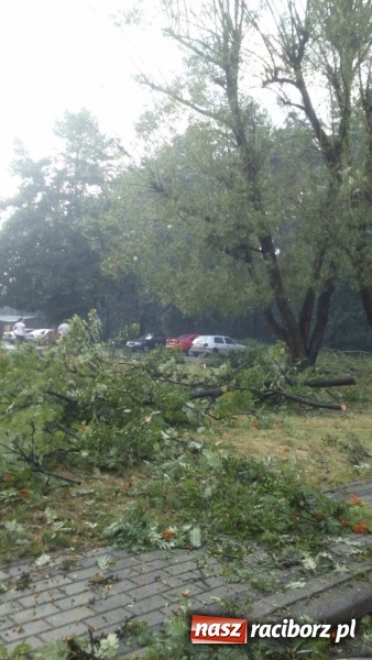 Zdjęcie w galerii na portalu naszraciborz.pl: Kuźnia Raciborska - miasto po Armagedonie wiadomości z regionu