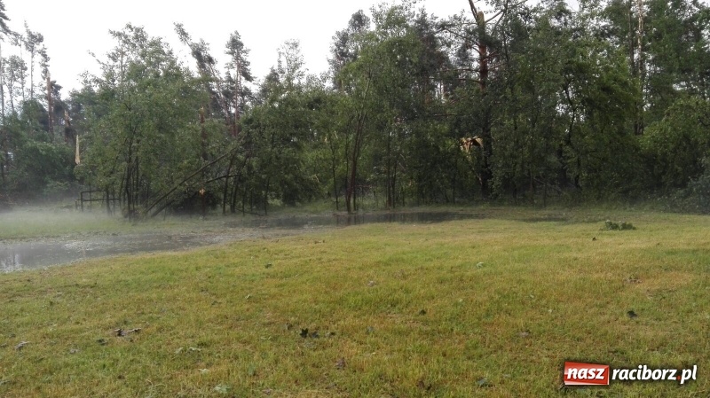 Zdjęcie w galerii na portalu naszraciborz.pl: Kuźnia Raciborska - miasto po Armagedonie wiadomości z regionu