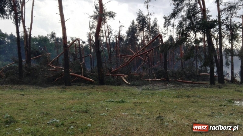 Zdjęcie w galerii na portalu naszraciborz.pl: Kuźnia Raciborska - miasto po Armagedonie wiadomości z regionu