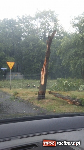 Zdjęcie w galerii na portalu naszraciborz.pl: Kuźnia Raciborska - miasto po Armagedonie wiadomości z regionu