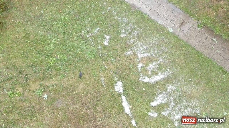Zdjęcie w galerii na portalu naszraciborz.pl: Kuźnia Raciborska - miasto po Armagedonie wiadomości z regionu