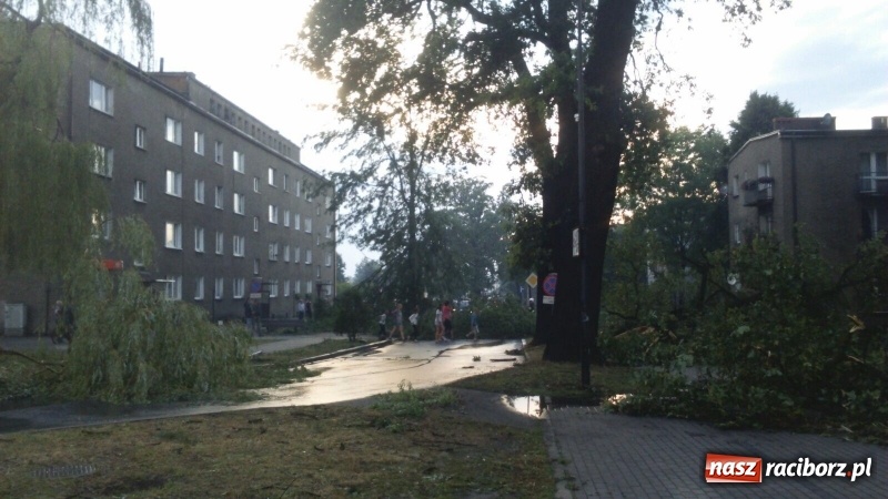 Zdjęcie w galerii na portalu naszraciborz.pl: Kuźnia Raciborska - miasto po Armagedonie wiadomości z regionu
