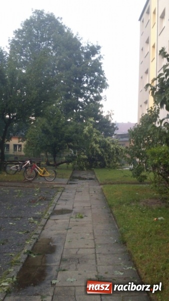 Zdjęcie w galerii na portalu naszraciborz.pl: Kuźnia Raciborska - miasto po Armagedonie wiadomości z regionu