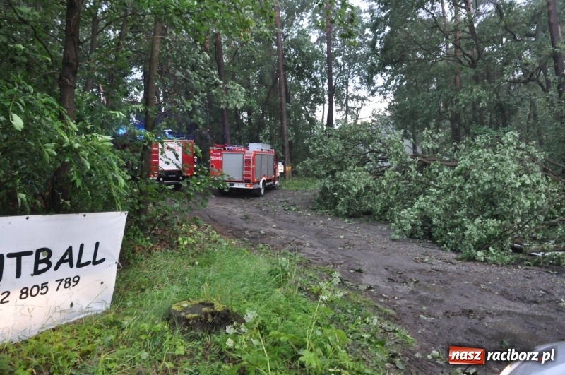 Zdjęcie w galerii na portalu naszraciborz.pl: Strażacy torowali drogę karetce do Leśnej Polany. Zablokowana droga Racibórz - Szymocice - Rudy. Zniszczenia w stadninie wiadomości z regionu