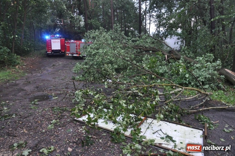 Zdjęcie w galerii na portalu naszraciborz.pl: Strażacy torowali drogę karetce do Leśnej Polany. Zablokowana droga Racibórz - Szymocice - Rudy. Zniszczenia w stadninie wiadomości z regionu