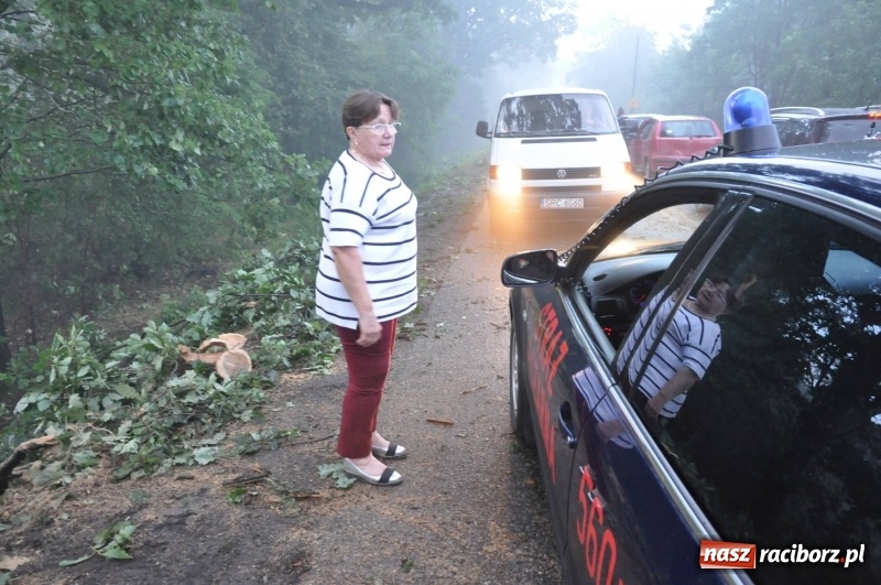 Zdjęcie w galerii na portalu naszraciborz.pl: Strażacy torowali drogę karetce do Leśnej Polany. Zablokowana droga Racibórz - Szymocice - Rudy. Zniszczenia w stadninie wiadomości z regionu