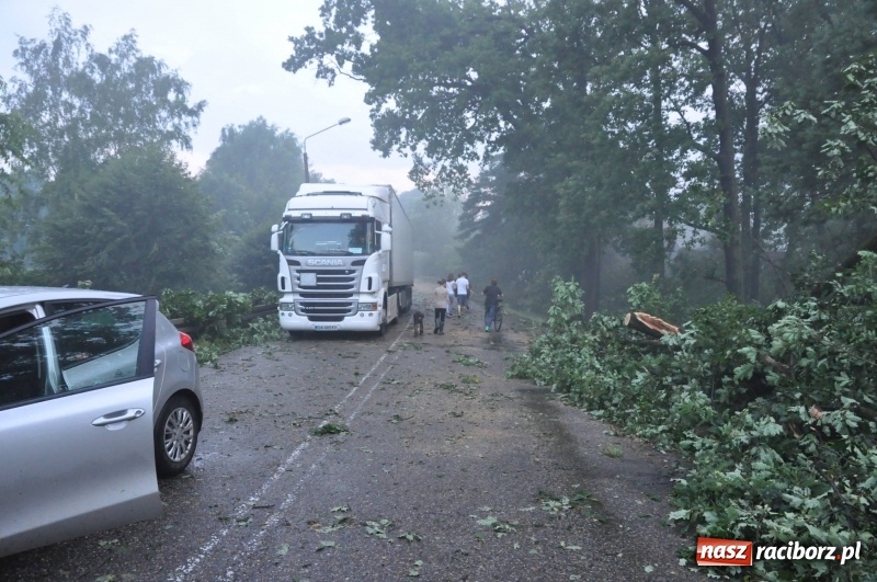 Zdjęcie w galerii na portalu naszraciborz.pl: Strażacy torowali drogę karetce do Leśnej Polany. Zablokowana droga Racibórz - Szymocice - Rudy. Zniszczenia w stadninie wiadomości z regionu
