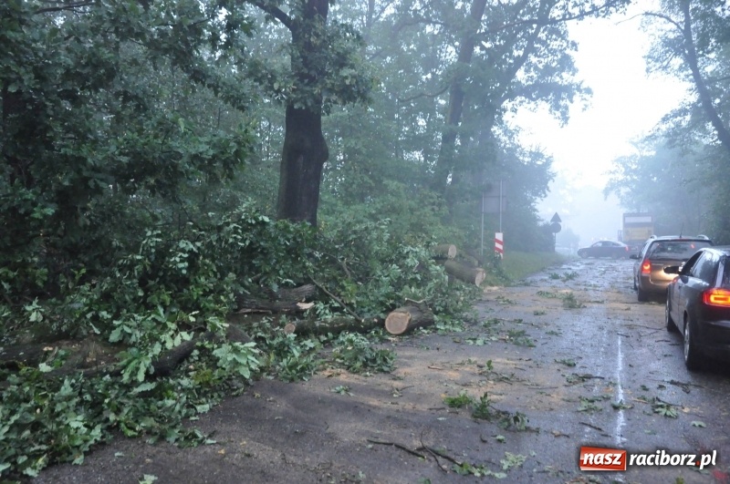 Zdjęcie w galerii na portalu naszraciborz.pl: Strażacy torowali drogę karetce do Leśnej Polany. Zablokowana droga Racibórz - Szymocice - Rudy. Zniszczenia w stadninie wiadomości z regionu