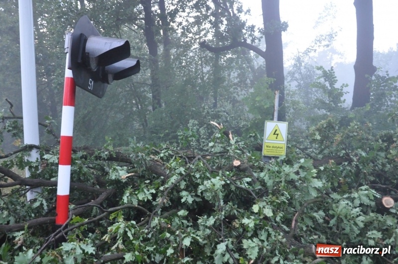 Zdjęcie w galerii na portalu naszraciborz.pl: Strażacy torowali drogę karetce do Leśnej Polany. Zablokowana droga Racibórz - Szymocice - Rudy. Zniszczenia w stadninie wiadomości z regionu