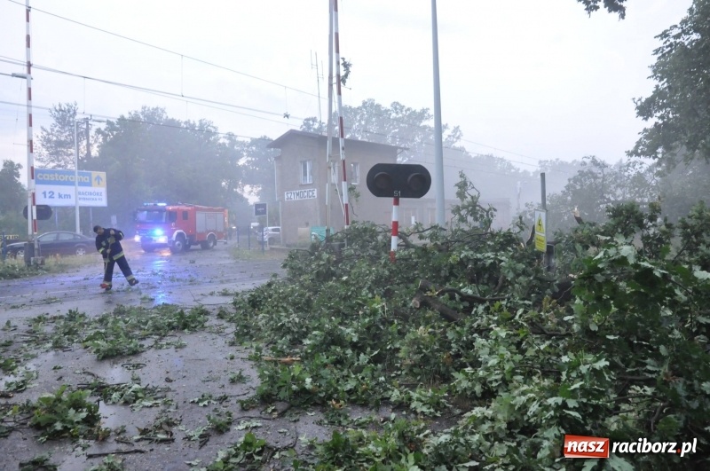 Zdjęcie w galerii na portalu naszraciborz.pl: Strażacy torowali drogę karetce do Leśnej Polany. Zablokowana droga Racibórz - Szymocice - Rudy. Zniszczenia w stadninie wiadomości z regionu