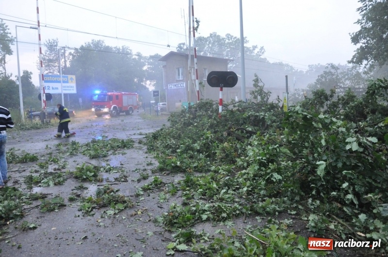 Zdjęcie w galerii na portalu naszraciborz.pl: Strażacy torowali drogę karetce do Leśnej Polany. Zablokowana droga Racibórz - Szymocice - Rudy. Zniszczenia w stadninie wiadomości z regionu