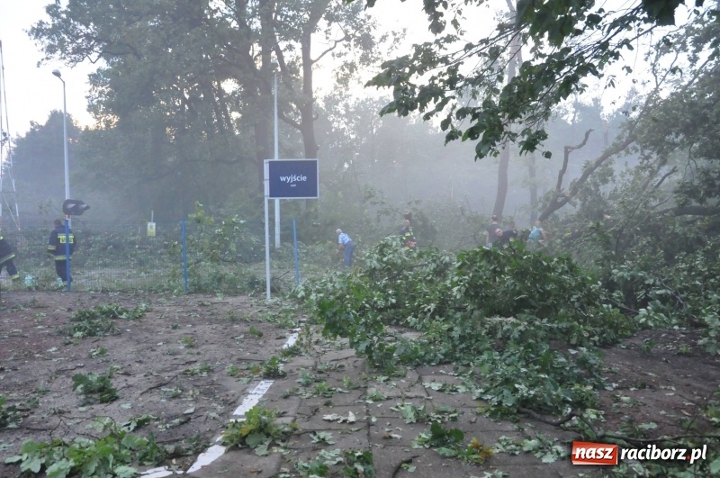 Zdjęcie w galerii na portalu naszraciborz.pl: Strażacy torowali drogę karetce do Leśnej Polany. Zablokowana droga Racibórz - Szymocice - Rudy. Zniszczenia w stadninie wiadomości z regionu
