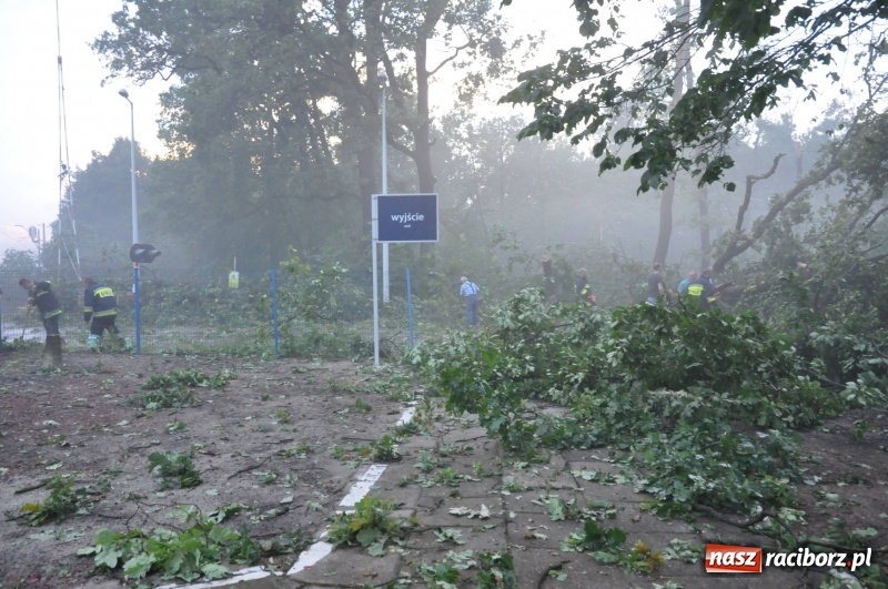 Zdjęcie w galerii na portalu naszraciborz.pl: Strażacy torowali drogę karetce do Leśnej Polany. Zablokowana droga Racibórz - Szymocice - Rudy. Zniszczenia w stadninie wiadomości z regionu