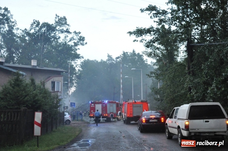 Zdjęcie w galerii na portalu naszraciborz.pl: Strażacy torowali drogę karetce do Leśnej Polany. Zablokowana droga Racibórz - Szymocice - Rudy. Zniszczenia w stadninie wiadomości z regionu