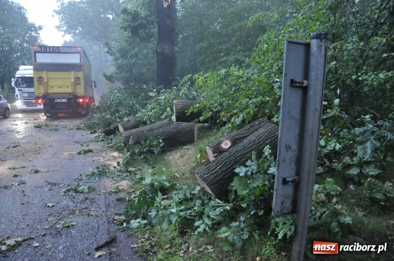 Zdjęcie w galerii na portalu naszraciborz.pl: Strażacy torowali drogę karetce do Leśnej Polany. Zablokowana droga Racibórz - Szymocice - Rudy. Zniszczenia w stadninie wiadomości z regionu