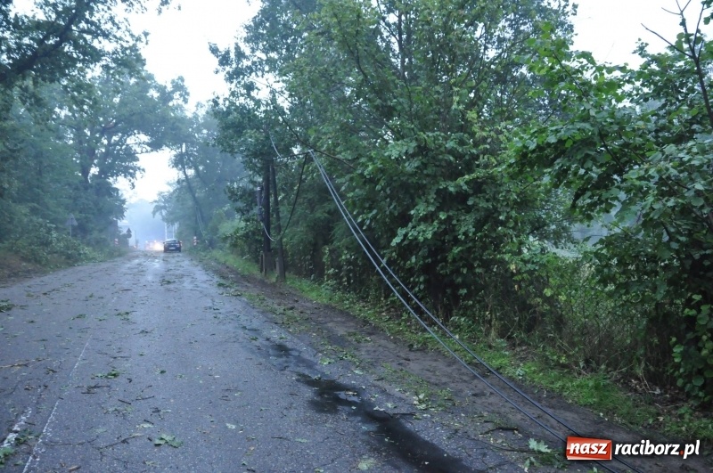 Zdjęcie w galerii na portalu naszraciborz.pl: Strażacy torowali drogę karetce do Leśnej Polany. Zablokowana droga Racibórz - Szymocice - Rudy. Zniszczenia w stadninie wiadomości z regionu