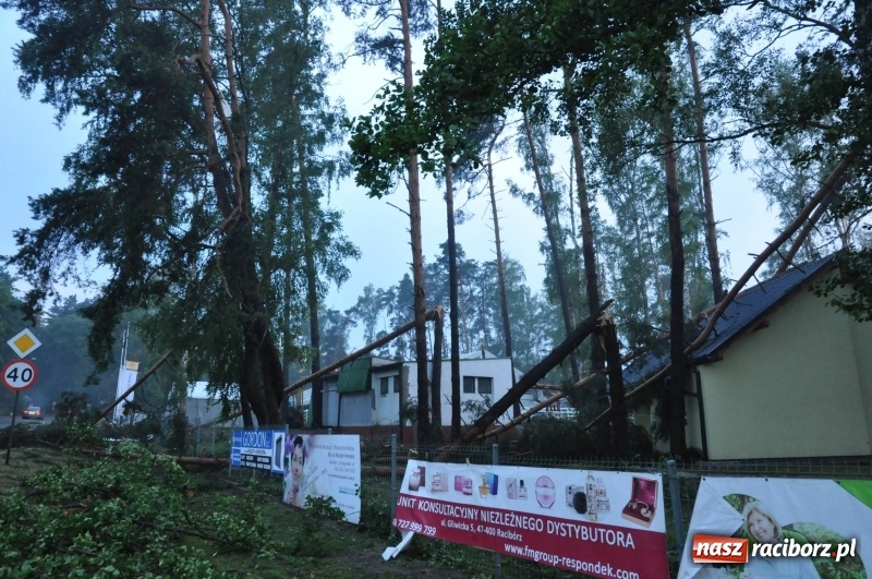 Zdjęcie w galerii na portalu naszraciborz.pl: Strażacy torowali drogę karetce do Leśnej Polany. Zablokowana droga Racibórz - Szymocice - Rudy. Zniszczenia w stadninie wiadomości z regionu