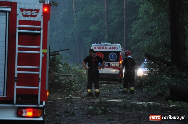Zdjęcie w galerii na portalu naszraciborz.pl: Strażacy torowali drogę karetce do Leśnej Polany. Zablokowana droga Racibórz - Szymocice - Rudy. Zniszczenia w stadninie wiadomości z regionu