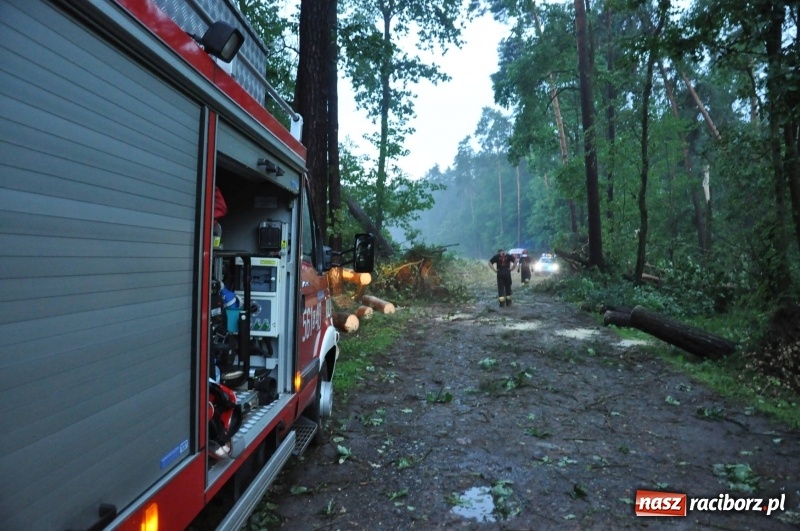 Zdjęcie w galerii na portalu naszraciborz.pl: Strażacy torowali drogę karetce do Leśnej Polany. Zablokowana droga Racibórz - Szymocice - Rudy. Zniszczenia w stadninie wiadomości z regionu