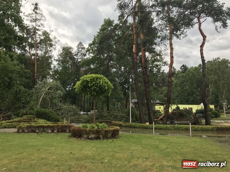 Zdjęcie w galerii na portalu naszraciborz.pl: Siedem minut, które spustoszyło Aquabrax i stadninę  wiadomości z regionu