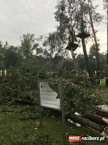 Zdjęcie w galerii na portalu naszraciborz.pl: Siedem minut, które spustoszyło Aquabrax i stadninę  wiadomości z regionu
