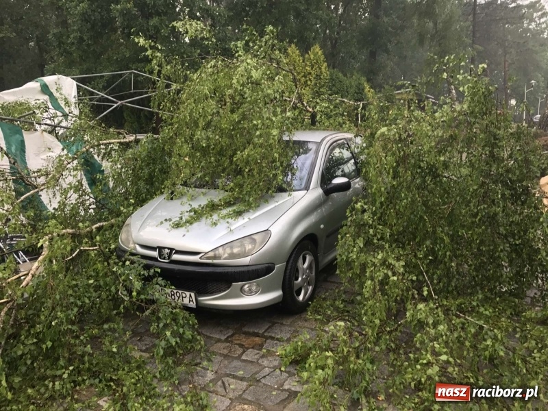 Zdjęcie w galerii na portalu naszraciborz.pl: Siedem minut, które spustoszyło Aquabrax i stadninę  wiadomości z regionu