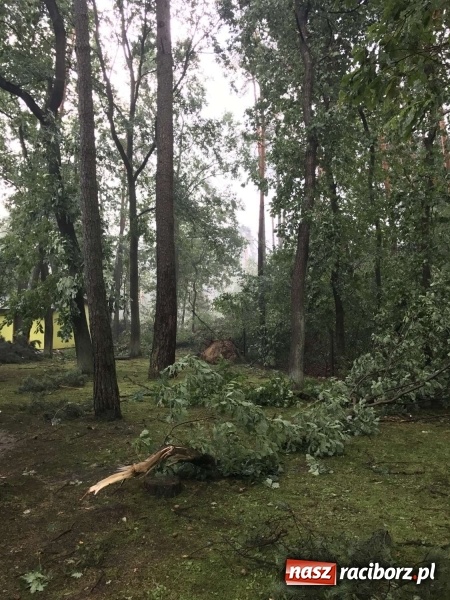 Zdjęcie w galerii na portalu naszraciborz.pl: Siedem minut, które spustoszyło Aquabrax i stadninę  wiadomości z regionu